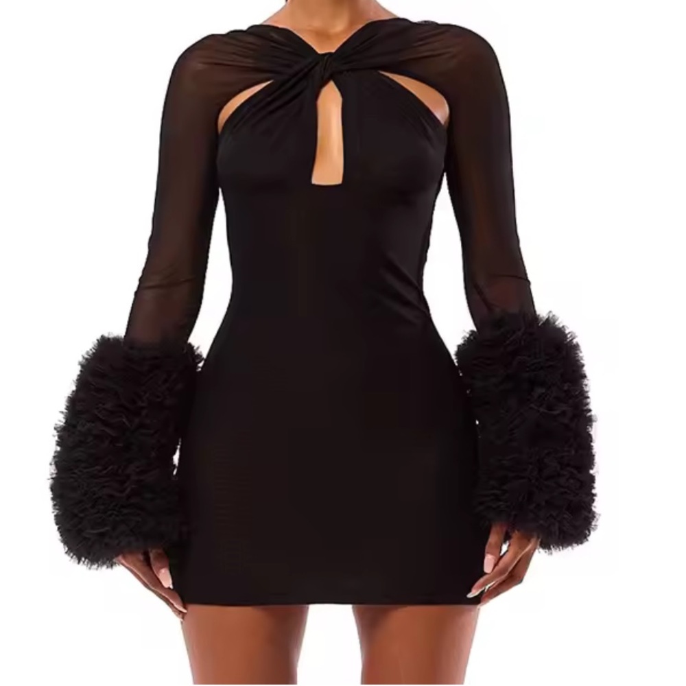 Black Dress with Sheer Sleeves